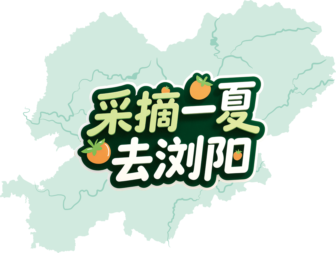 地图