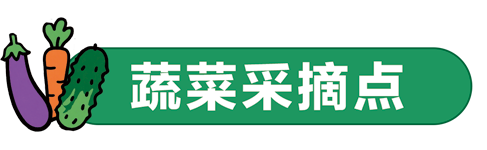 蔬菜采摘点